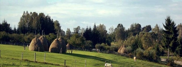 Comuna Risca
